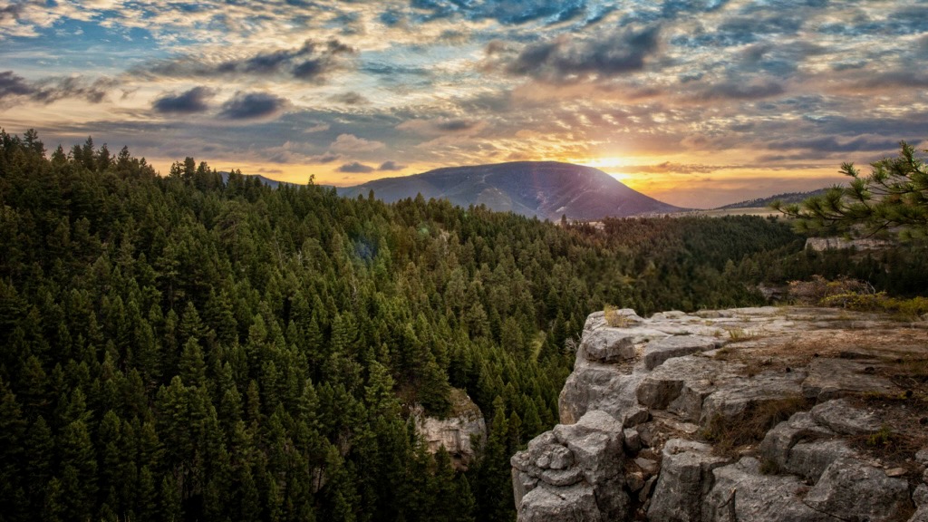 Montana Ranch Landscape
